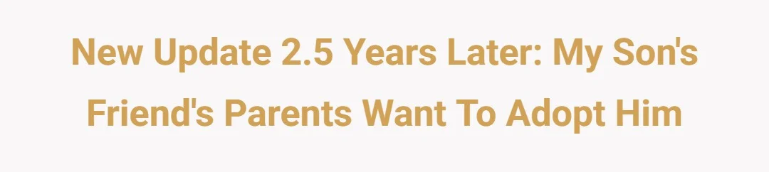 New Update 2.5 years later: My son's friend's parents want to adopt him