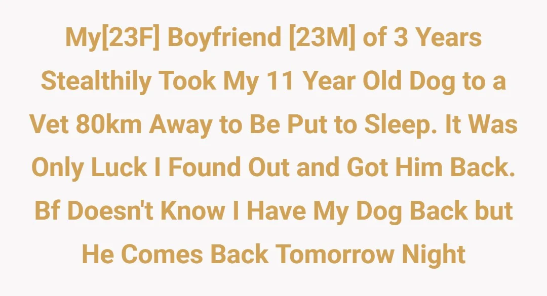 My[23F] boyfriend [23M] of 3 years stealthily took my 11 year old dog to a vet 80km away to be put to sleep. It was only luck I found out and got him back. bf doesn't know I have my dog back but he comes back tomorrow night