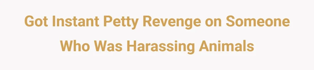 got instant petty revenge on someone who was harassing animals