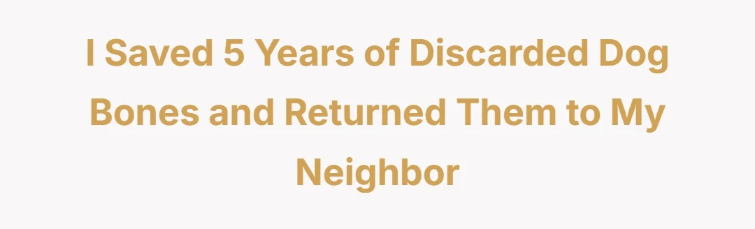 I Saved 5 Years of Discarded Dog Bones and Returned Them to My Neighbor