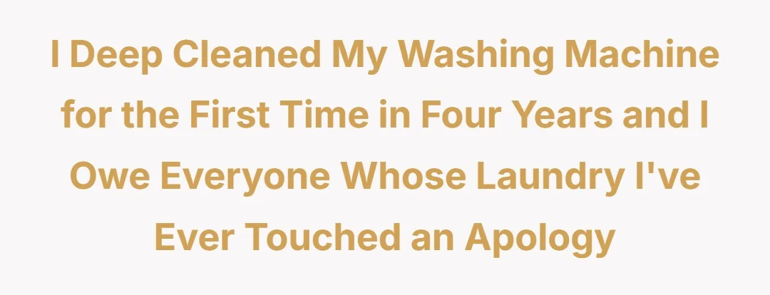 I deep cleaned my washing machine for the first time in four years and I owe everyone whose laundry I've ever touched an apology