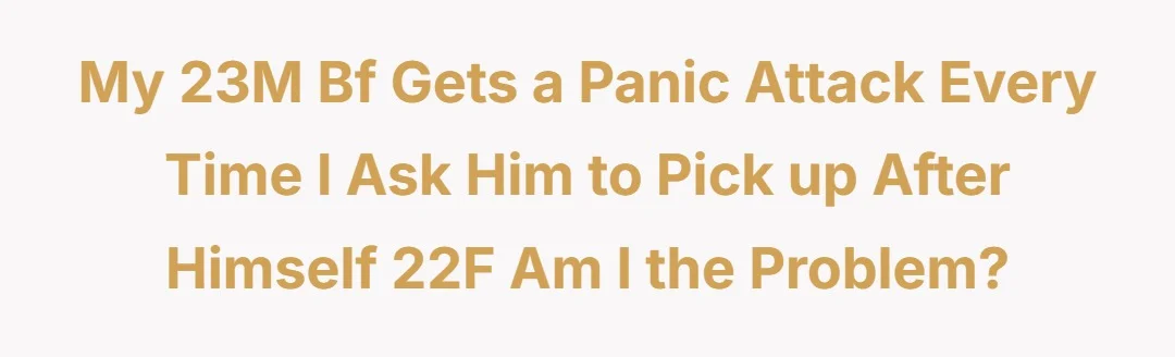 My 23M bf gets a panic attack every time i ask him to pick up after himself 22F am i the problem?