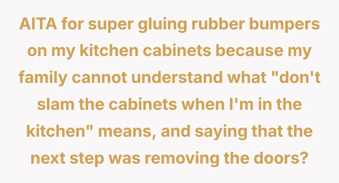 Aitah for super gluing rubber bumpers on my kitchen cabinets because my family cannot understand what "don't slam the cabinets when I'm in the kitchen" means, and saying that the next step was removing the doors.?