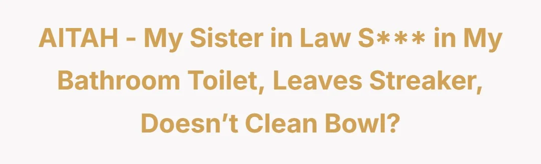 AITAH - My sister in law shits in my bathroom toilet, leaves streaker, doesn’t clean bowl?