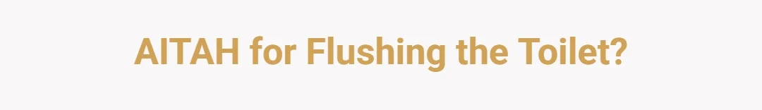 AITAH for flushing the toilet?