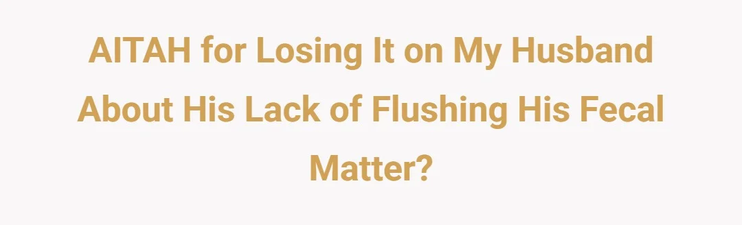 AITAH for losing it on my husband about his lack of flushing his fecal matter?