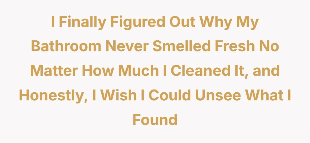 I finally figured out why my bathroom never smelled fresh no matter how much I cleaned it and honestly I wish I could unsee what I found