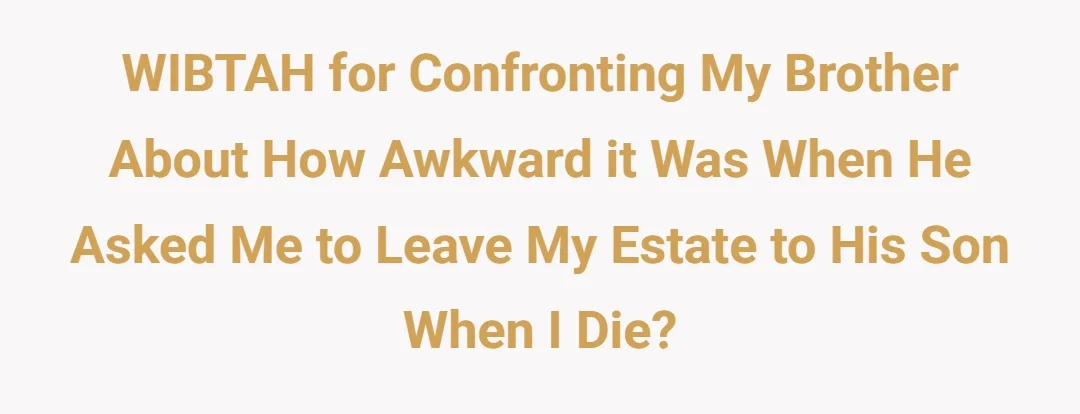 WIBTAH for confronting my brother about how awkward it was when he asked me to leave my estate to his son when I die?