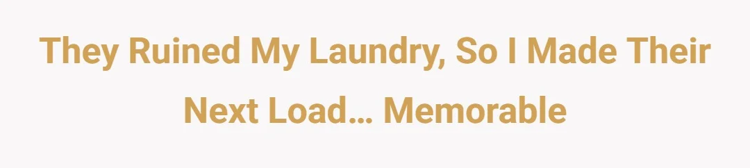 They ruined my laundry, so I made their next load… memorable