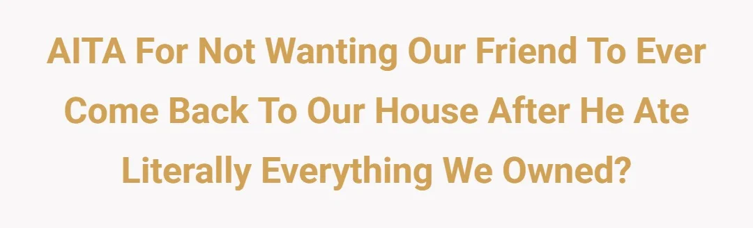 AITA for not wanting our friend to ever come back to our house after he ate literally everything we owned?