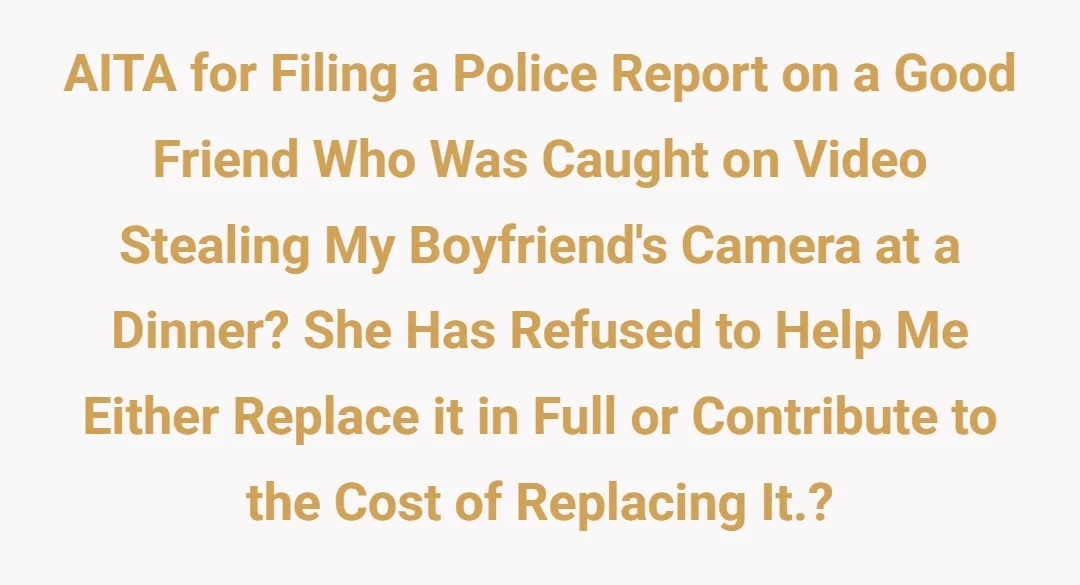 AITA For filing a police report on a good friend who was caught on video stealing my boyfriend's camera at a dinner? She has refused to help me either replace it in full or contribute to the cost of replacing it.?