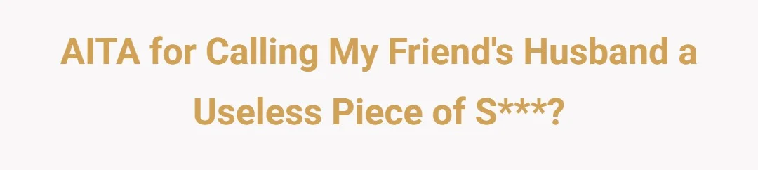 AITA for calling my friends husband a useless piece of shit?