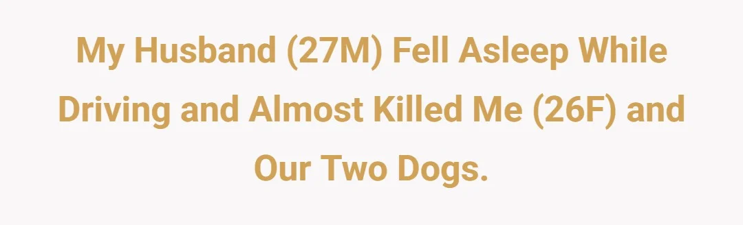 My husband (27M) fell asleep while driving and almost killed me (26F) and our two dogs.