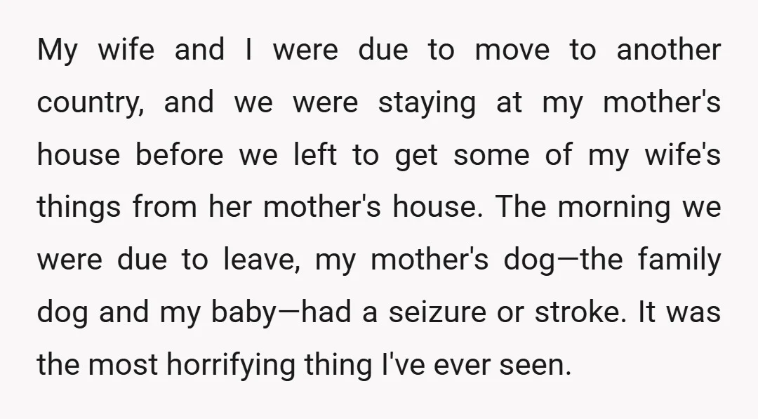 My wife and I were due to move to another country, and we were staying at my mother's house before we left to get some of my wife's things from...