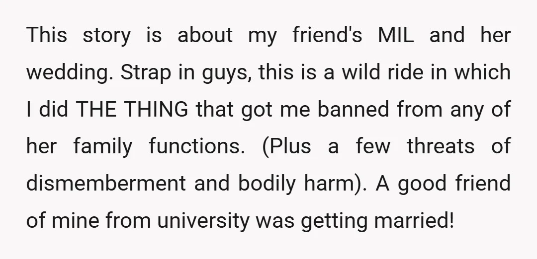 This story is about my friend's MIL and her wedding. Strap in guys, this is a wild ride in which I did THE THING that got me banned from any...