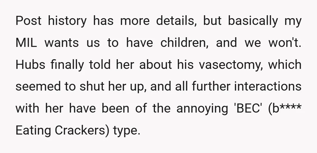 Post history has more details, but basically my MIL wants us to have children, and we won't. Hubs finally told her about his vasectomy, which seemed to shut her up,...
