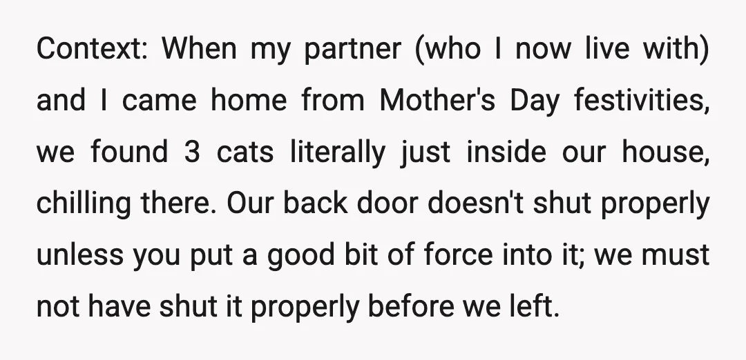 Context: When my partner (who I now live with) and I came home from Mother's Day festivities, we found 3 cats literally just inside our house, chilling there. Our back...
