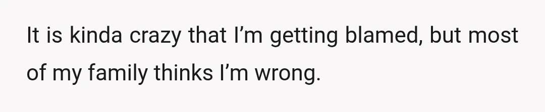It is kinda crazy that I’m getting blamed, but most of my family thinks I’m wrong.
