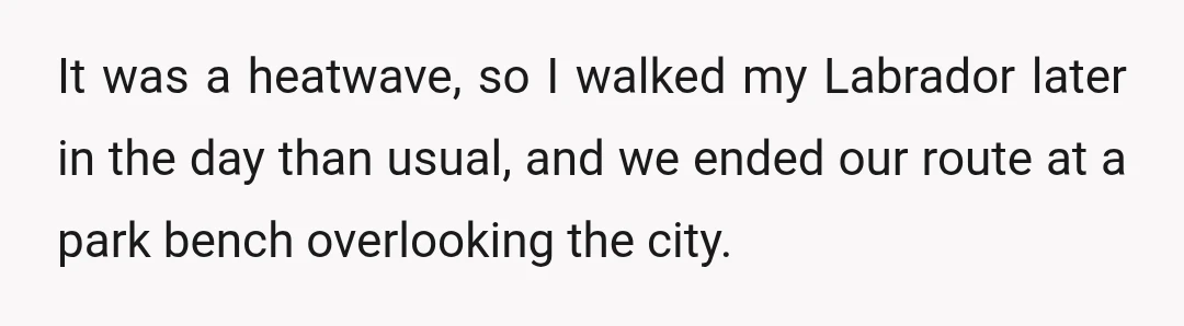 It was a heatwave, so I walked my Labrador later in the day than usual, and we ended our route at a park bench overlooking the city.