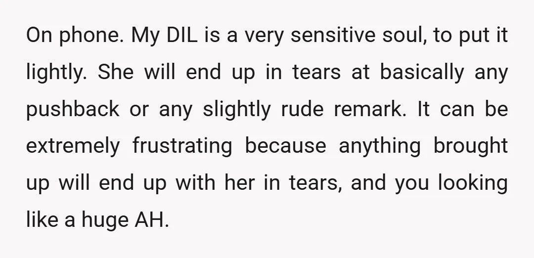 On phone. My DIL is a very sensitive soul, to put it lightly. She will end up in tears at basically any pushback or any slightly rude remark. It can...