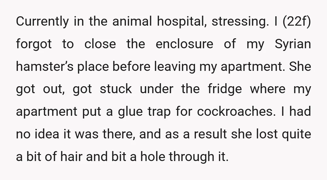 Currently in the animal hospital, stressing. I (22f) forgot to close the enclosure of my Syrian hamster’s place before leaving my apartment. She got out, got stuck under the fridge...