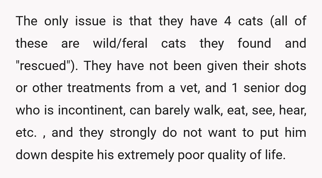 The only issue is that they have 4 cats (all of these are wild/feral cats they found and "rescued"). They have not been given their shots or other treatments from...