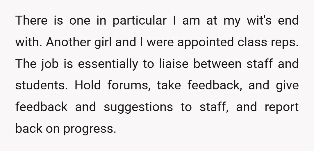 There is one in particular I am at my wit's end with. Another girl and I were appointed class reps. The job is essentially to liaise between staff and students....