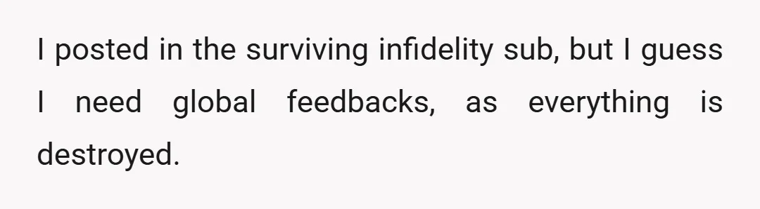I posted in the surviving infidelity sub, but I guess I need global feedbacks, as everything is destroyed.