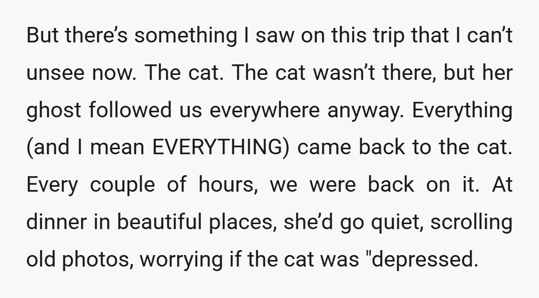 But there’s something I saw on this trip that I can’t unsee now. The cat. The cat wasn’t there, but her ghost followed us everywhere anyway. Everything (and I mean...