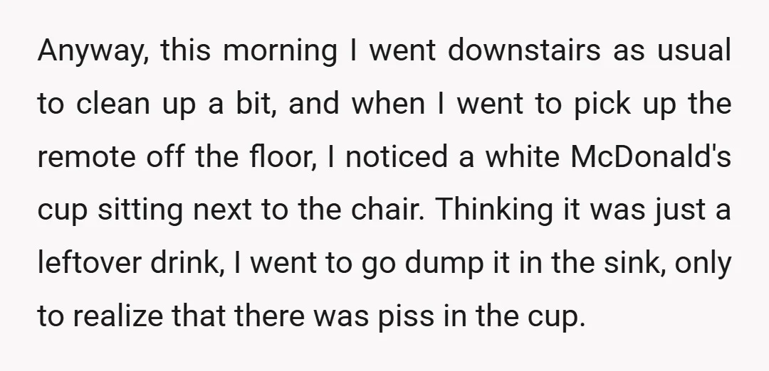 Anyway, this morning I went downstairs as usual to clean up a bit, and when I went to pick up the remote off the floor, I noticed a white McDonald's...
