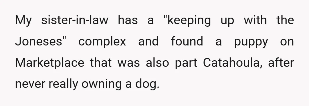 My sister-in-law has a "keeping up with the Joneses" complex and found a puppy on Marketplace that was also part Catahoula, after never really owning a dog.