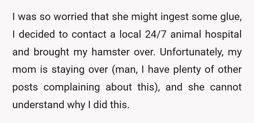 I was so worried that she might ingest some glue, I decided to contact a local 24/7 animal hospital and brought my hamster over. Unfortunately, my mom is staying over...