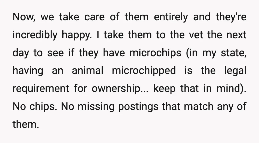 Now, we take care of them entirely and they're incredibly happy. I take them to the vet the next day to see if they have microchips (in my state, having...