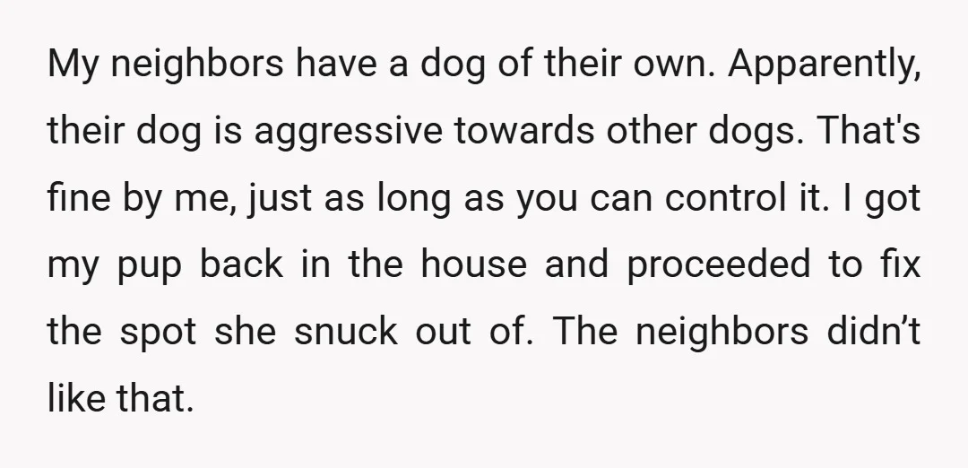 My neighbors have a dog of their own. Apparently, their dog is aggressive towards other dogs. That's fine by me, just as long as you can control it. I got...