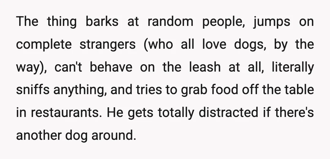 The thing barks at random people, jumps on complete strangers (who all love dogs, by the way), can't behave on the leash at all, literally sniffs anything, and tries to...