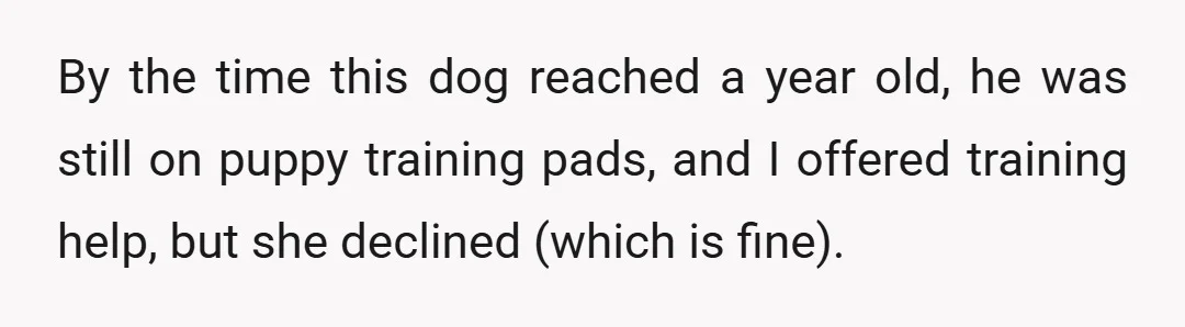 By the time this dog reached a year old, he was still on puppy training pads, and I offered training help, but she declined (which is fine).