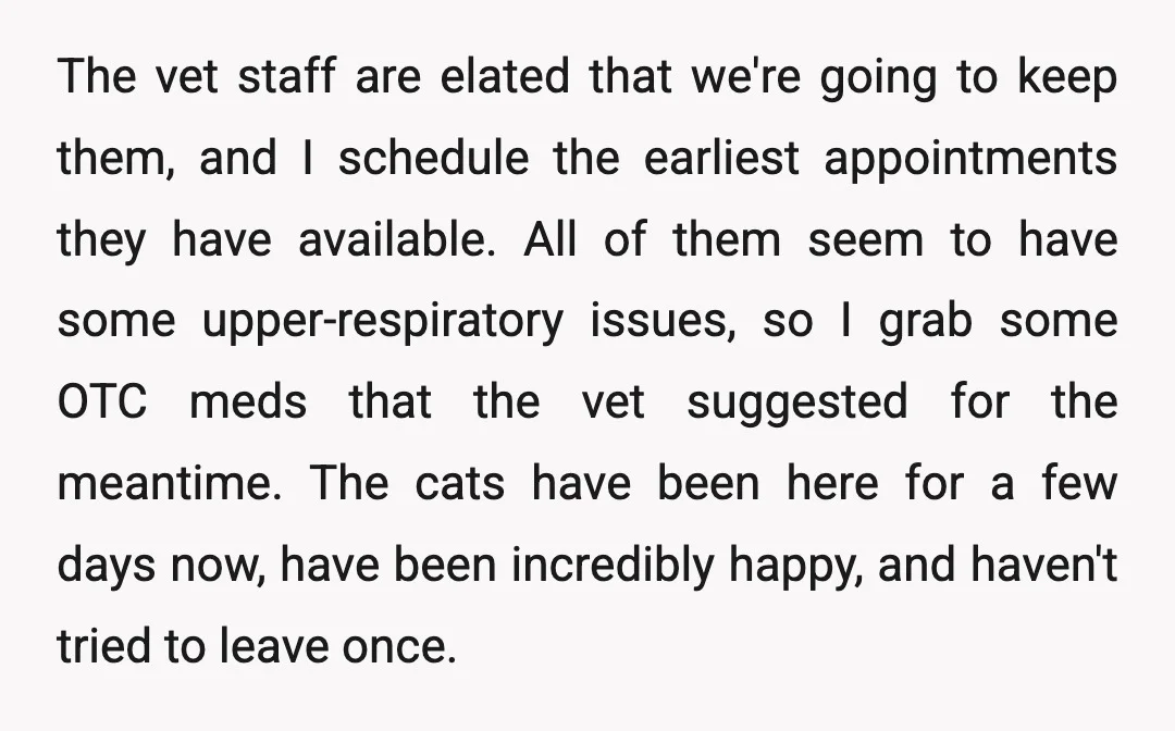 The vet staff are elated that we're going to keep them, and I schedule the earliest appointments they have available. All of them seem to have some upper-respiratory issues, so...