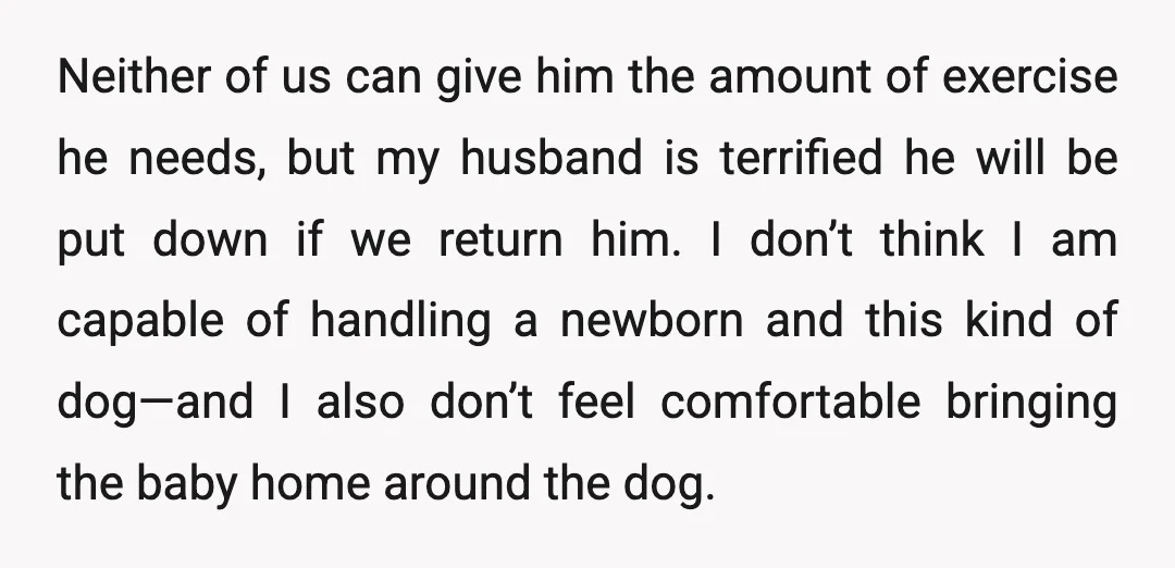 Neither of us can give him the amount of exercise he needs, but my husband is terrified he will be put down if we return him. I don’t think I...
