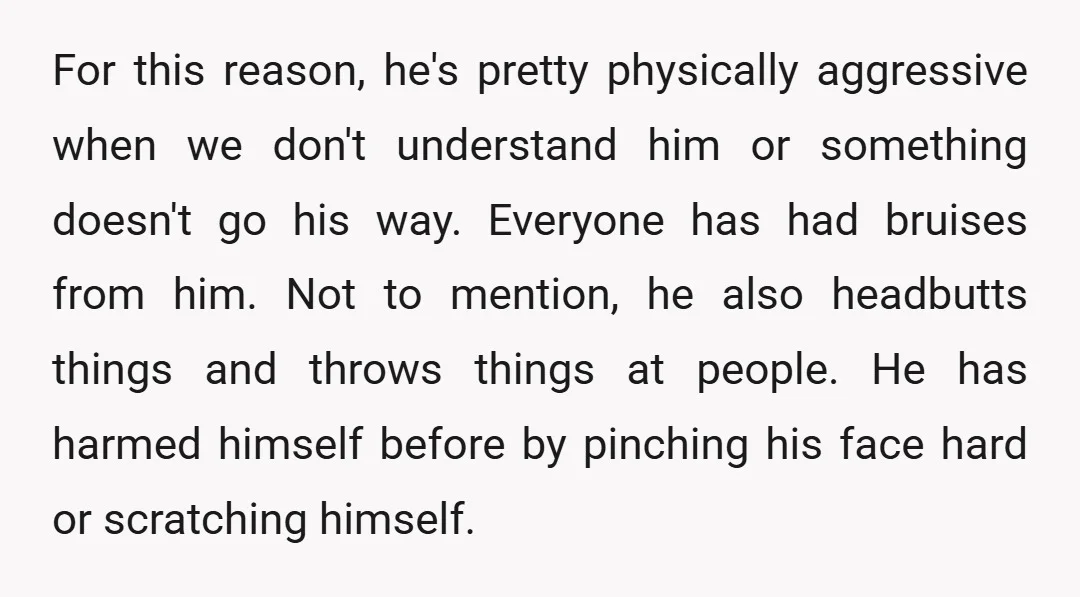 For this reason, he's pretty physically aggressive when we don't understand him or something doesn't go his way. Everyone has had bruises from him. Not to mention, he also headbutts...