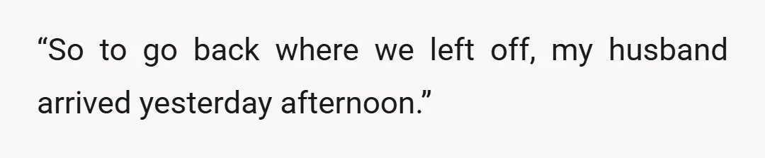 “So to go back where we left off, my husband arrived yesterday afternoon.”