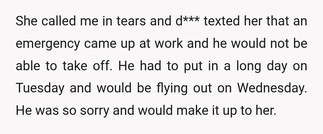 She called me in tears and d*** texted her that an emergency came up at work and he would not be able to take off. He had to put in...