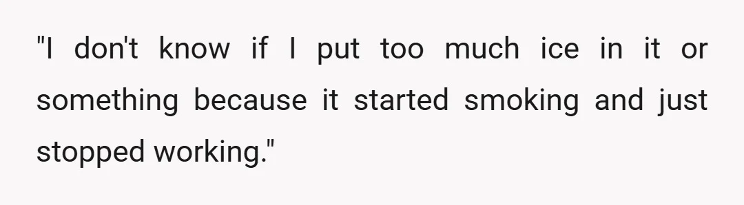 "I don't know if I put too much ice in it or something because it started smoking and just stopped working."