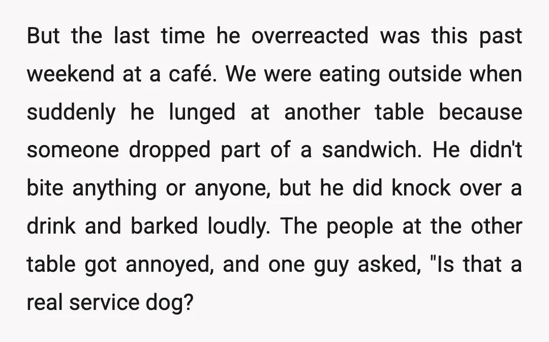 But the last time he overreacted was this past weekend at a café. We were eating outside when suddenly he lunged at another table because someone dropped part of a...