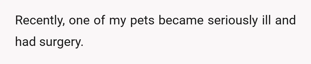 Recently, one of my pets became seriously ill and had surgery.