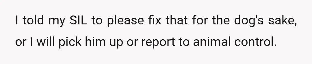 I told my SIL to please fix that for the dog's sake, or I will pick him up or report to animal control.