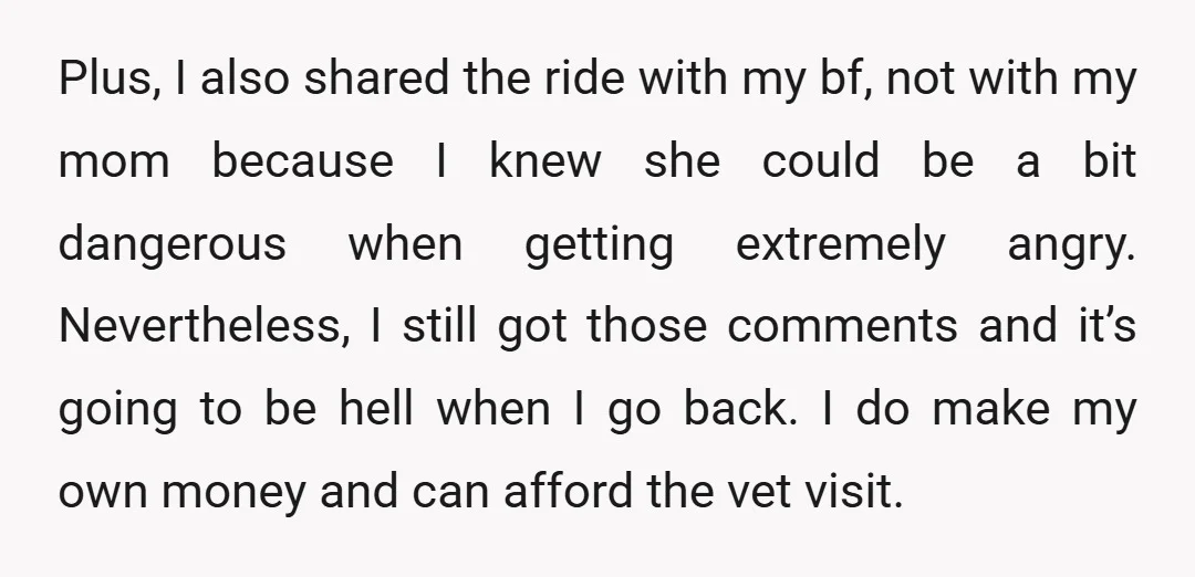 Plus, I also shared the ride with my bf, not with my mom because I knew she could be a bit dangerous when getting extremely angry. Nevertheless, I still got...
