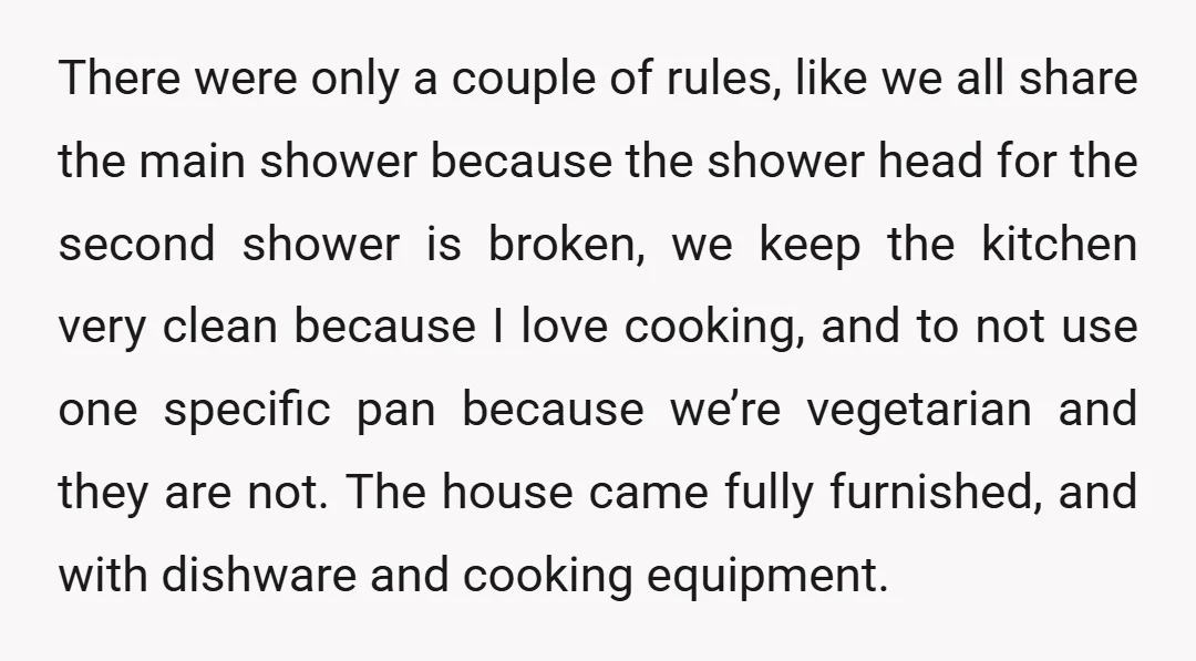 There were only a couple of rules, like we all share the main shower because the shower head for the second shower is broken, we keep the kitchen very clean...