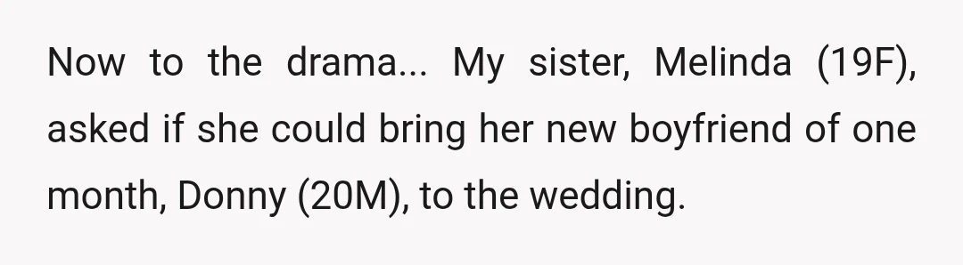 Now to the drama... My sister, Melinda (19F), asked if she could bring her new boyfriend of one month, Donny (20M), to the wedding.