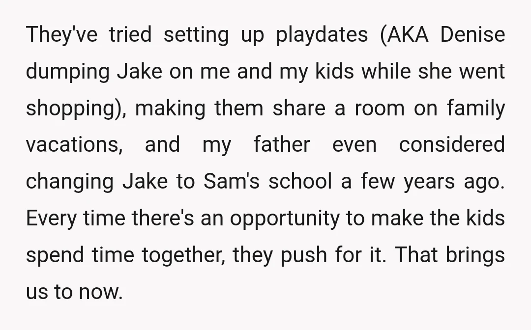 They've tried setting up playdates (AKA Denise dumping Jake on me and my kids while she went shopping), making them share a room on family vacations, and my father even...