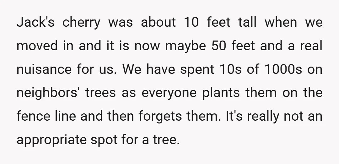 Jack's cherry was about 10 feet tall when we moved in and it is now maybe 50 feet and a real nuisance for us. We have spent 10s of 1000s...
